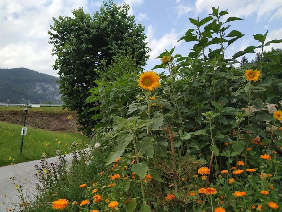 Upcycling Appartement Fischl - Nachhaltig Und Kreativ Wohnen Fuer Gross Und Klein Jenbach Buitenkant foto